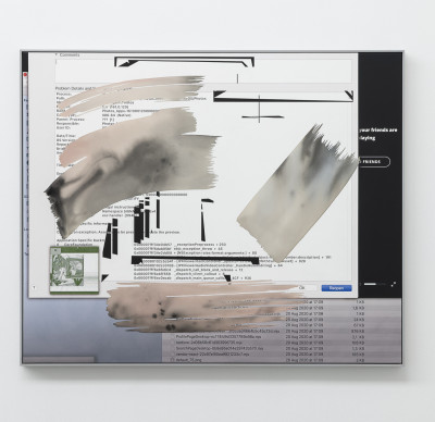 Camille Henrot, 