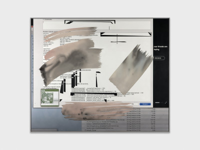 Camille Henrot, 